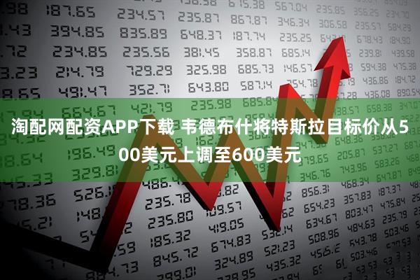 淘配网配资APP下载 韦德布什将特斯拉目标价从500美元上调至600美元