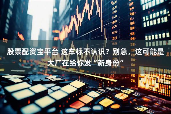 股票配资宝平台 这车标不认识？别急，这可能是大厂在给你发“新身份”