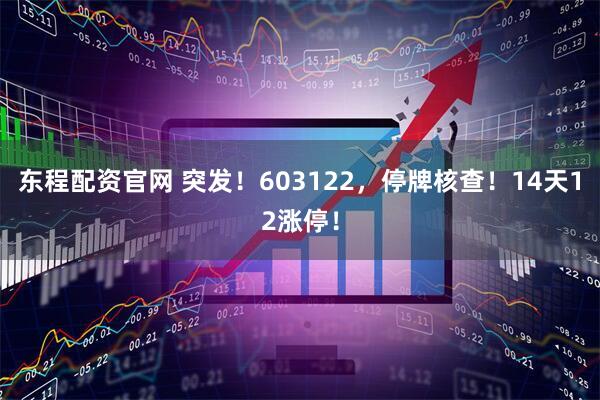 东程配资官网 突发！603122，停牌核查！14天12涨停！